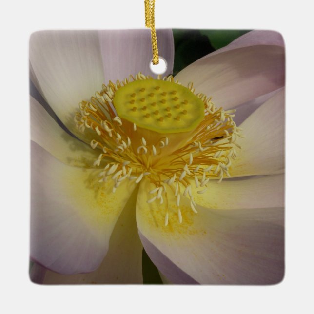 Pink Lotus Flower I Summer Floral Ceramic Tree Decoration (Front)