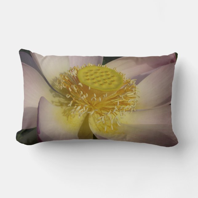 Pink Lotus Flower I Summer Floral Lumbar Cushion (Front)