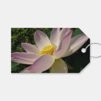 Pink Lotus Flower III Summer Floral Gift Tags