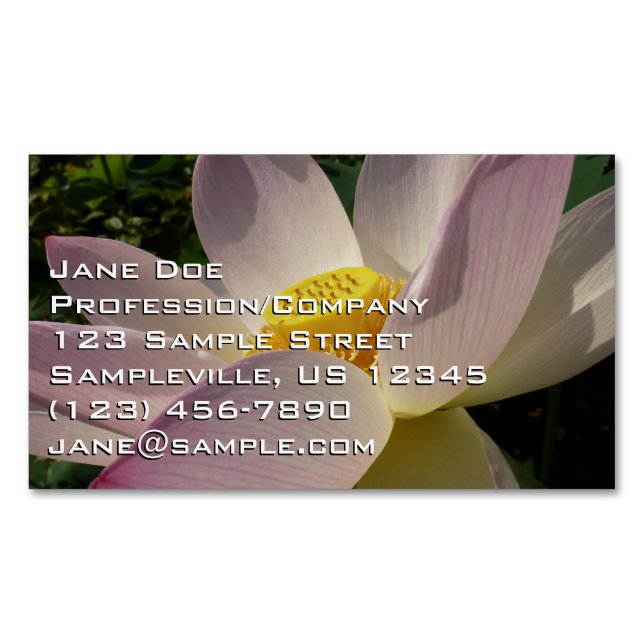 Pink Lotus Flower III Summer Floral Magnetic Business Card (Front)