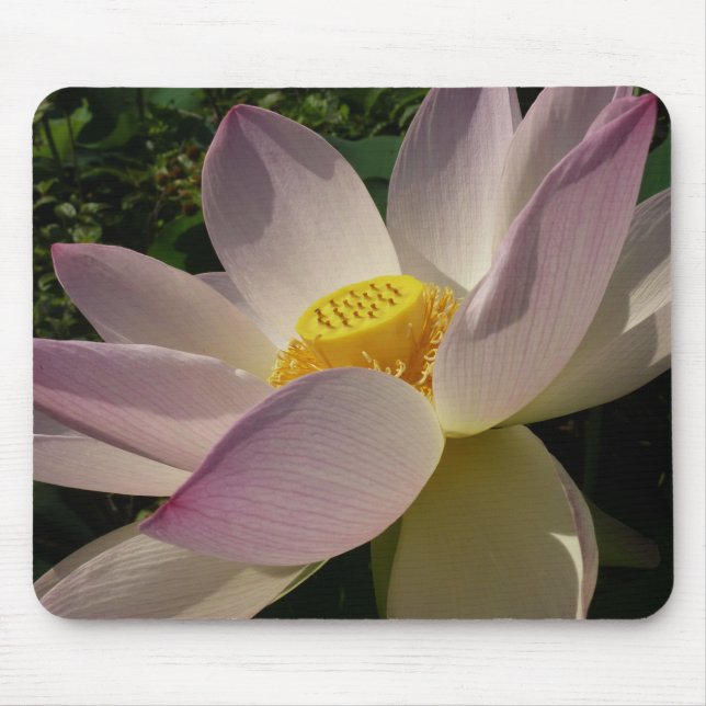Pink Lotus Flower III Summer Floral Mouse Pad (Front)