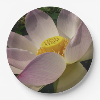 Pink Lotus Flower III Summer Floral Paper Plate