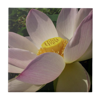 Pink Lotus Flower III Summer Floral Tile