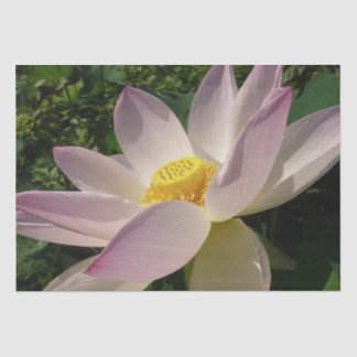 Pink Lotus Flower III Summer Floral Tissue Paper