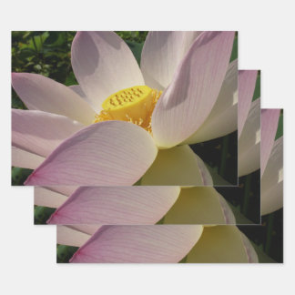 Pink Lotus Flower III Summer Floral Wrapping Paper Sheet