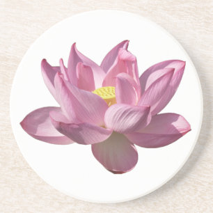 Pink Lotus Flower IV Coaster