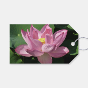Pink Lotus Flower IV Gift Tags