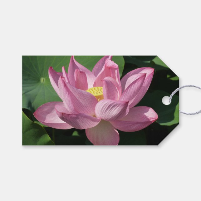Pink Lotus Flower IV Gift Tags (Front (Horizontal))
