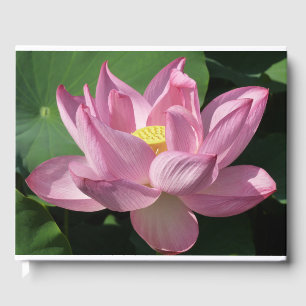 Pink Lotus Flower IV Guest Book