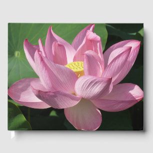 Pink Lotus Flower IV Guest Book
