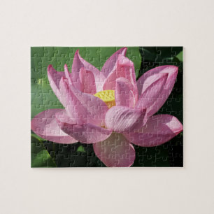 Pink Lotus Flower IV Jigsaw Puzzle