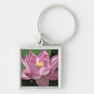 Pink Lotus Flower IV Key Ring