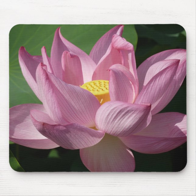 Pink Lotus Flower IV Mouse Pad (Front)