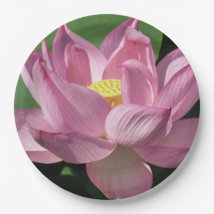 Pink Lotus Flower IV Paper Plate