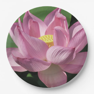 Pink Lotus Flower IV Paper Plate