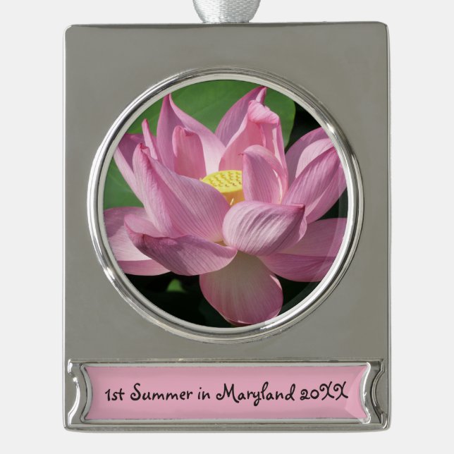 Pink Lotus Flower IV Silver Plated Banner Ornament (Front)