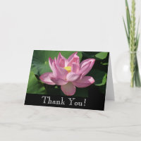 Pink Lotus Flower IV