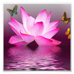 Pink Lotus Flower Photo Print