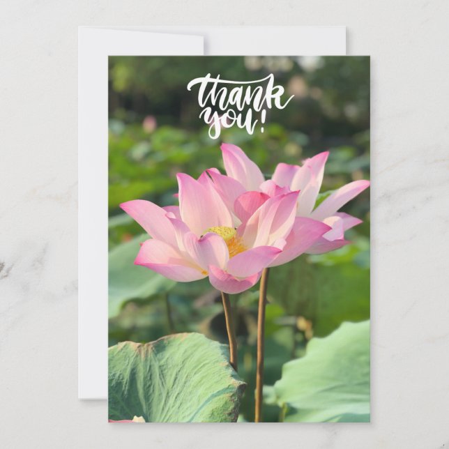 Pink Lotus Flower Thank you  (Front)