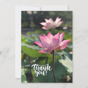 Pink Lotus Flower Thank you Card