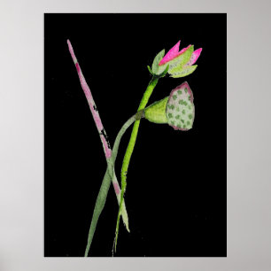 Pink Lotus flower Zen painting watercolour art Poster