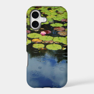 Pink lotus in Rain
