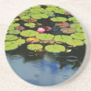 Pink lotus in Rain Coaster