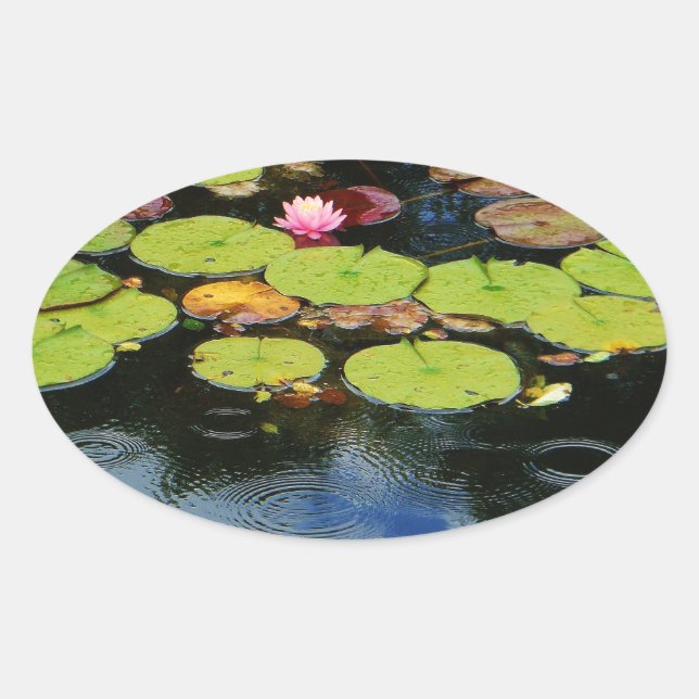 Pink lotus in Rain Oval Sticker (Front)