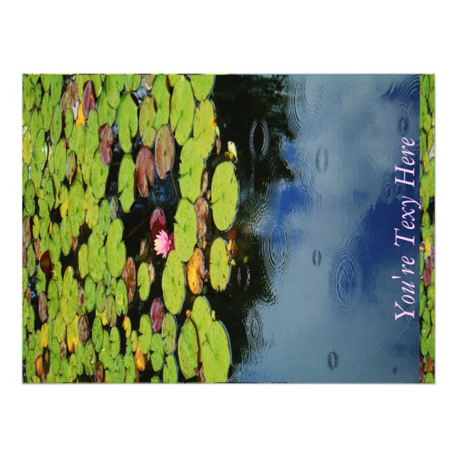 Pink lotus in Rain Photo Print (Front)
