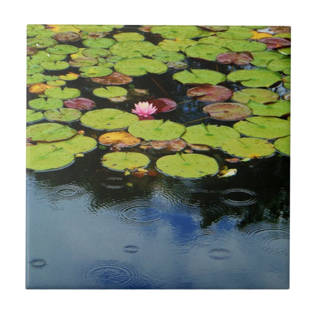 Pink lotus in Rain Tile (Front)