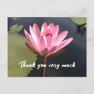Pink lotus in the pond thank you card