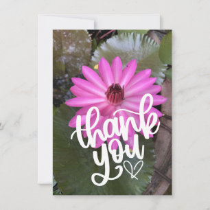Pink  lotus in the pond  thank you card