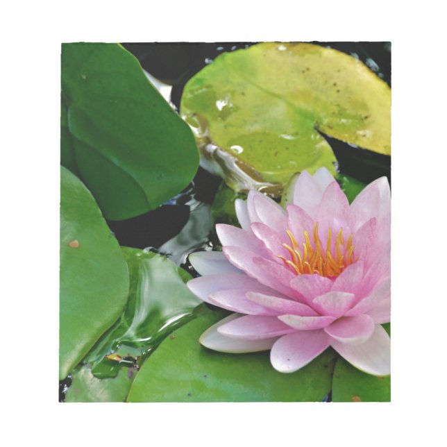 Pink Lotus Notepad (Front)