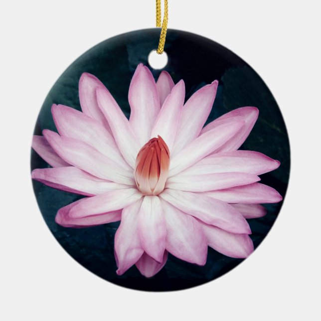 Pink Lotus Ornament (Front)