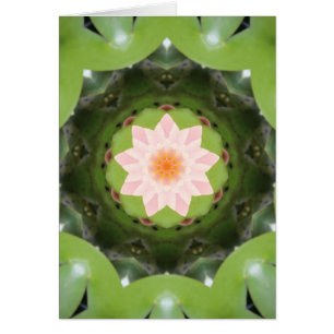 Pink Lotus Refraction