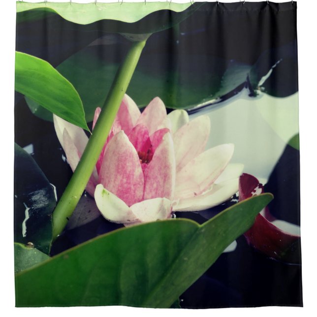 Pink Lotus Shower Curtain (Front)