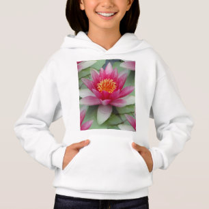 Pink Lotus Water Lily