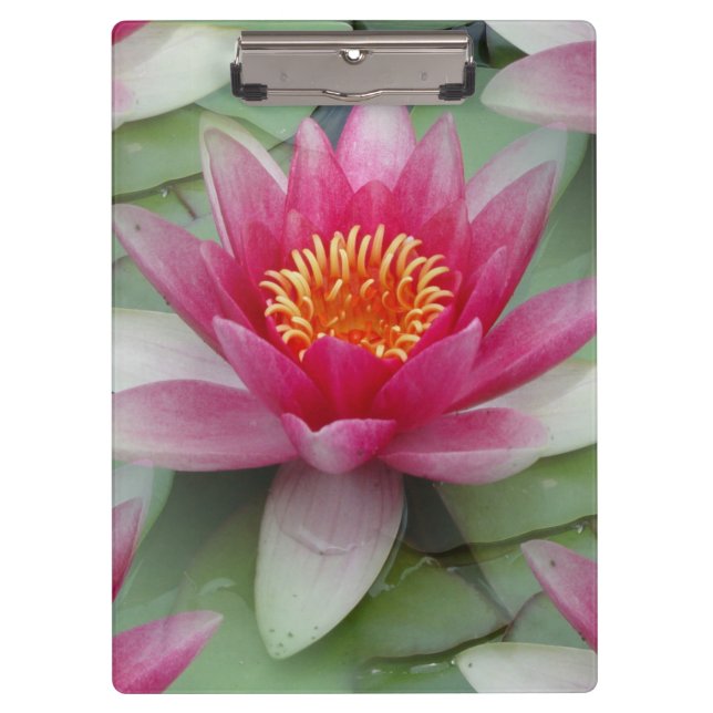 Pink Lotus Water Lily Clipboard (Front)