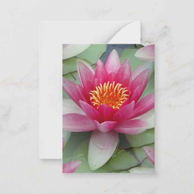 Pink Lotus Water Lily Flat Note Card (Front)