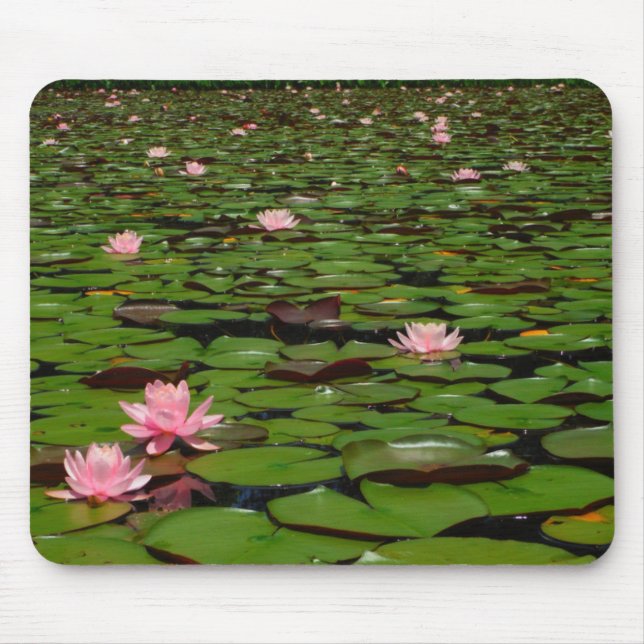 Pink lotus water lily flower pond mouse pad (Front)