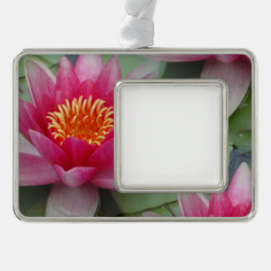 Pink Lotus Water Lily Framed Ornament