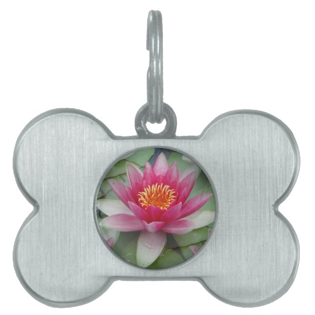 Pink Lotus Water Lily Framed Pet Tag (Front)
