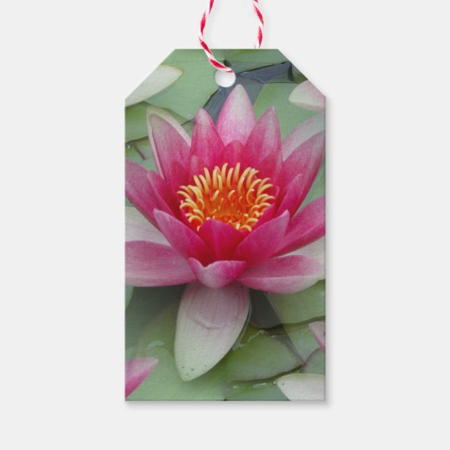 Pink Lotus Water Lily Gift Tags (Front)