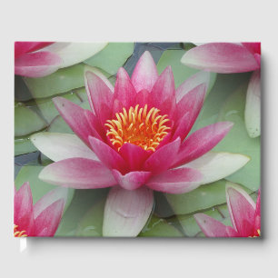 Pink Lotus Water Lily Guest Book