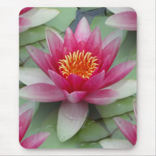 Pink Lotus Water Lily Mouse Pad