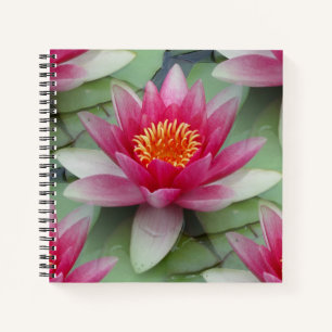 Pink Lotus Water Lily Notebook