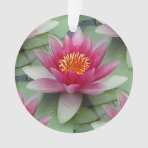Pink Lotus Water Lily Ornament