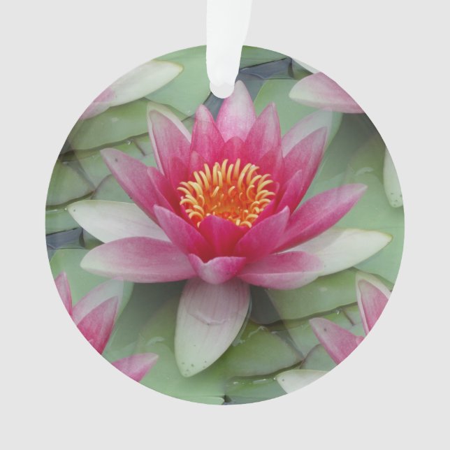 Pink Lotus Water Lily Ornament (Front)