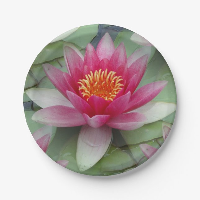 Pink Lotus Water Lily Paper Plate (Front)