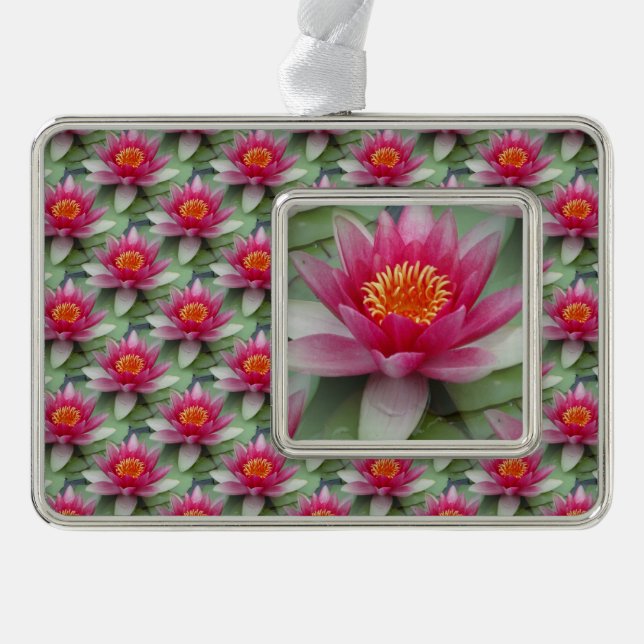 Pink Lotus Water Lily Silver Plated Framed Ornament (Front)
